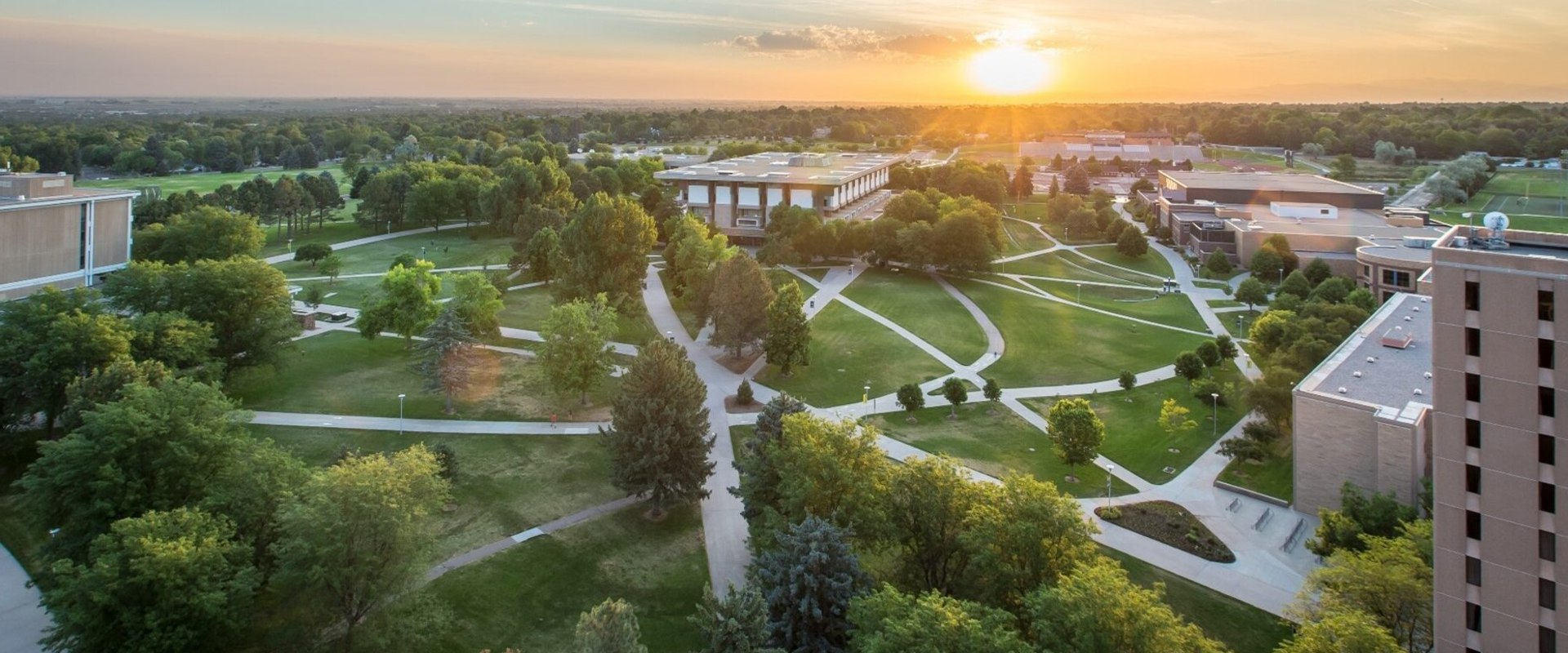 The Impact of Educational Backgrounds on Political Candidates in North Central Colorado