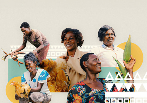 Enhancing Healthcare Access: Political Candidates' Strategies for Rural Communities in North Central Colorado